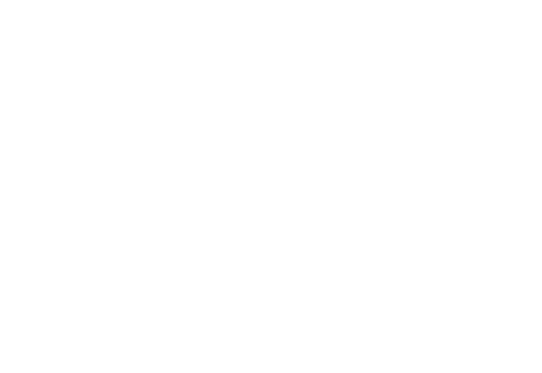 S.I.M. logo
